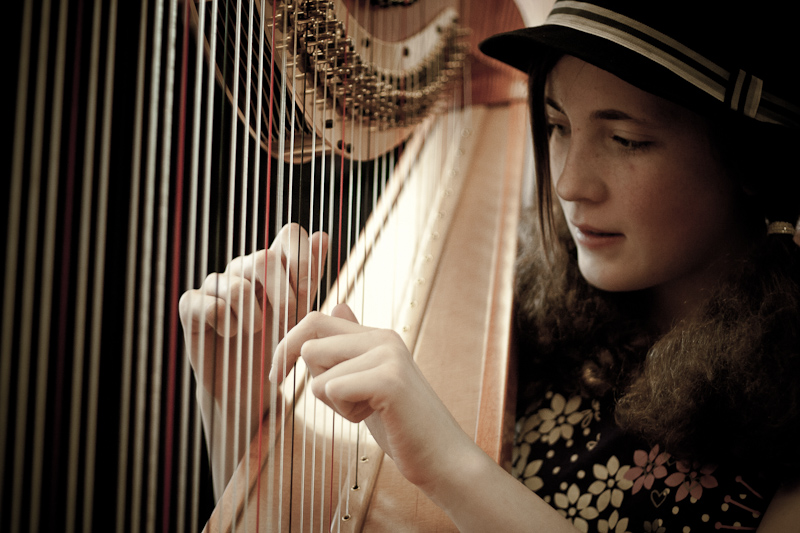 Harp Festival (44 of 54).jpg